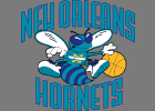 New Orleans Hornets