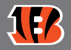 Cincinnati Bengals