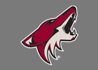 Phoenix Coyotes